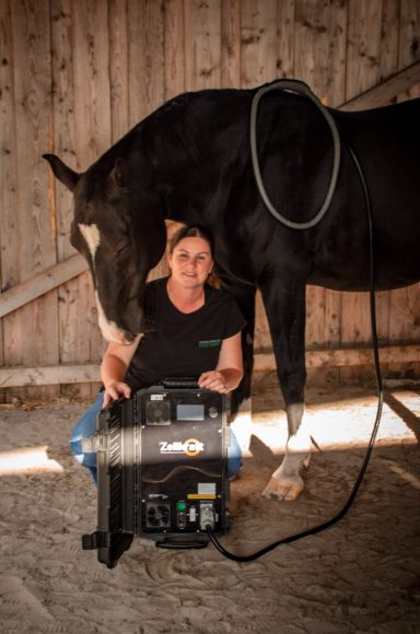 Frau sitzt neben einem Pferd und arbeitet mit einem Gerät auf dem Boden.
